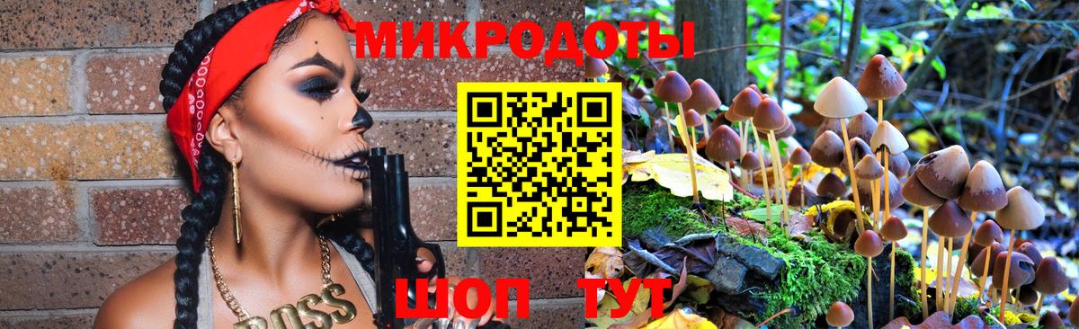 Курчатов  Псилоцибиновые грибы Psilocybe  Галлюциногенные грибы ЛСД  Вход с VPN 