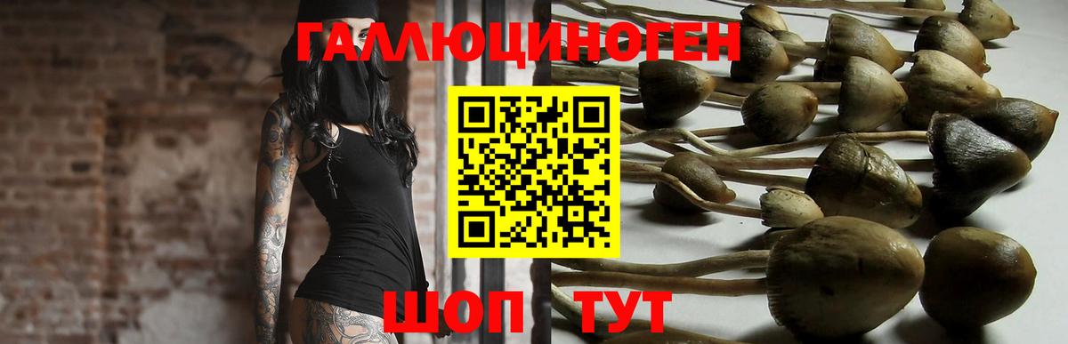 Псилоцибиновые грибы ЛСД Курчатов